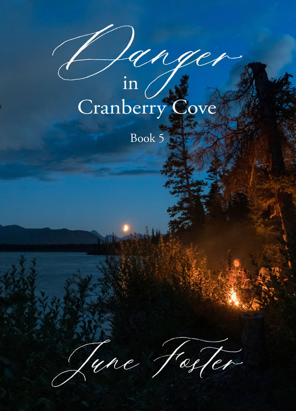 Danger in Cranberry Cove romantic suspense book