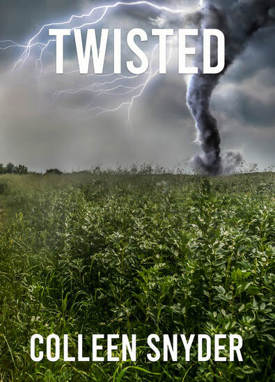 Twisted tornado clean suspense novel