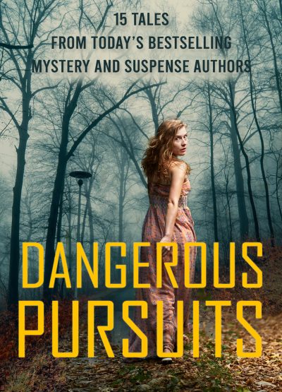 Dangerous Pursuits Christian novels